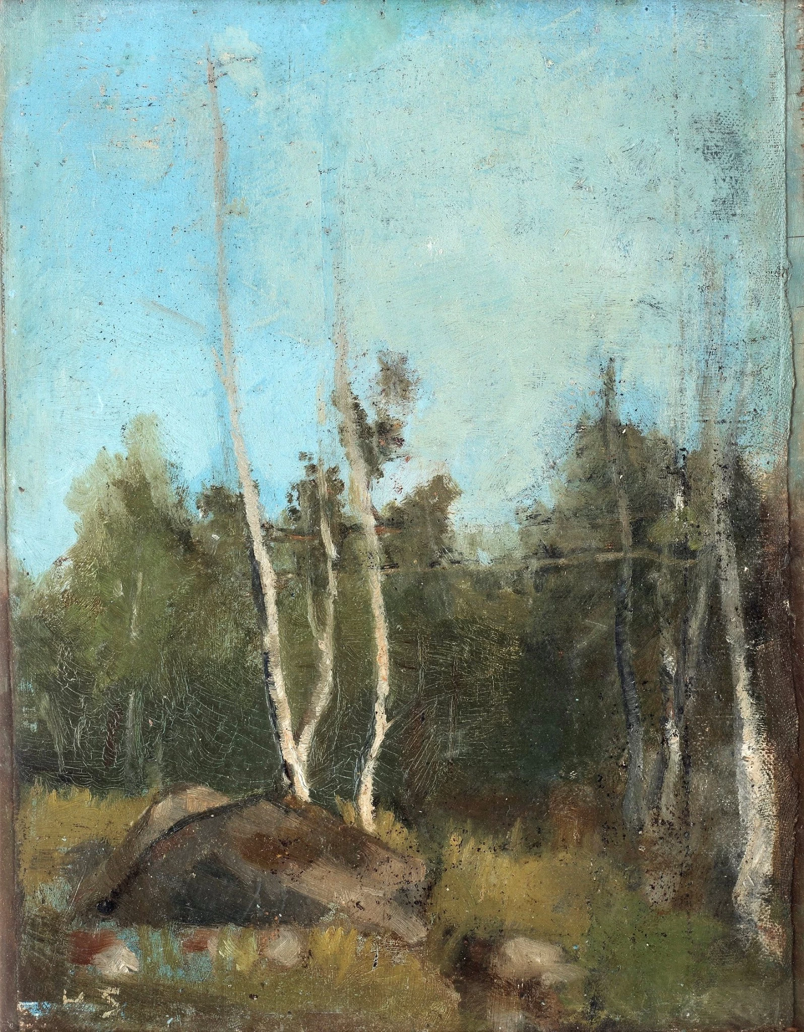 Paesaggio con betulla